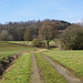 Feldweg in der Februarsonne