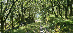 Dinorwig Slate Quarries