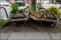 Fahrbare Blumenkästen