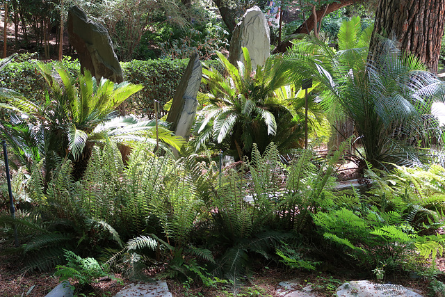 Real Jardin Botanico de Madrid