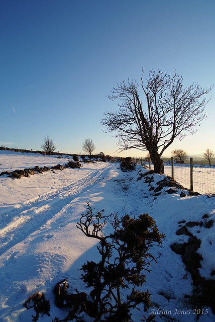 Stiperstones Snow