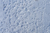 Tiny Footprints in the Snow