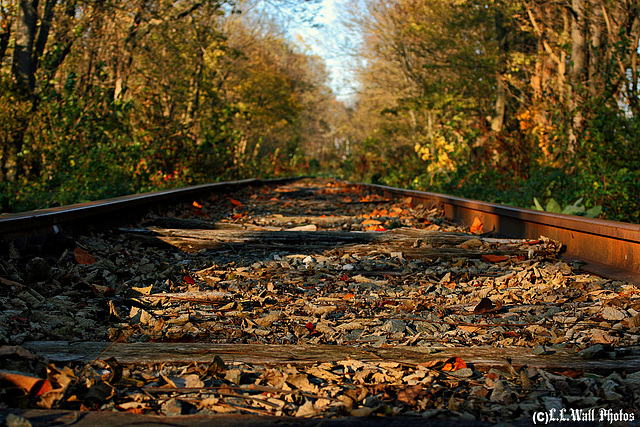 Autumn Railbed