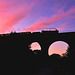Crossing Kidderminster viaduct at sunrise.