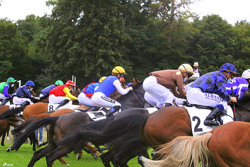 Courses à huit clos