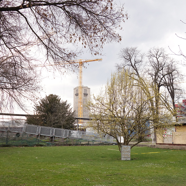 Wege im Frühling