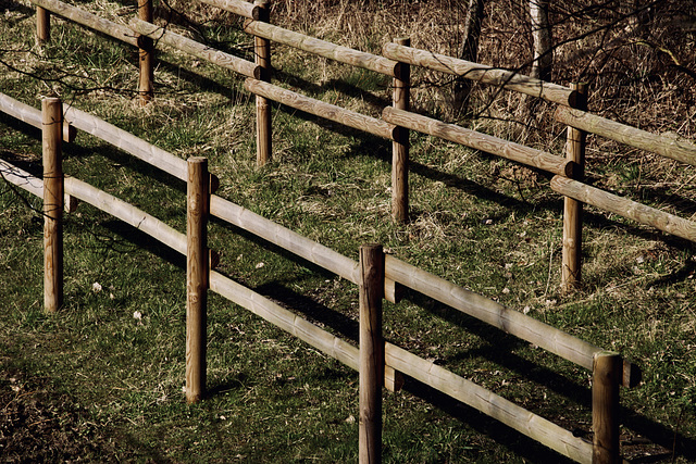 A Fence for Friday