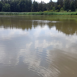 Dippelsdorf Teich 003