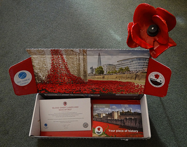 'Blood Swept Lands And Seas of Red' Poppy from the installation to commemorate the 100 years since World War 1