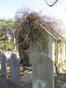 great northern cemetery, southgate, london