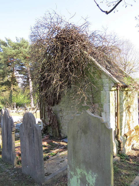 great northern cemetery, southgate, london