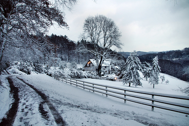 Schneebedeckte Landschaft am Flasdiek (Velbert-Langenberg) / 9.12.2017