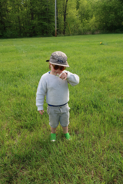 Dandelion Time Telling #2