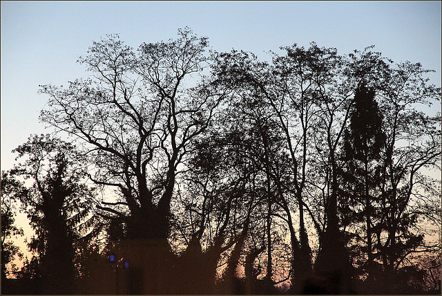 L'heure du contrejour