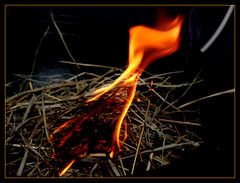 feu de paille en tajine