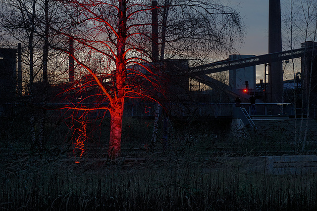 Zollverein, Kokerei