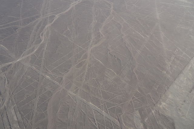 Sea Birds Geoglyphs