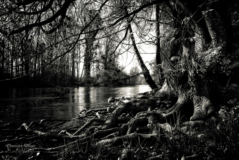 Les bords du Loing