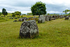 The Plain of Jars (Site 1)