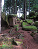 Brocken auf dem Weg zum Brocken