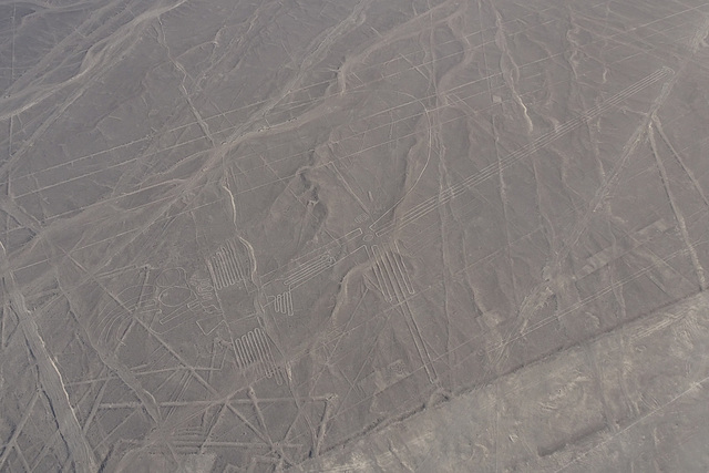 Sea Birds Geoglyphs