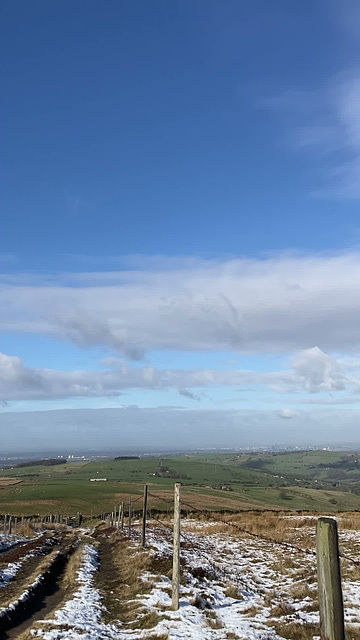 Skylarks singing