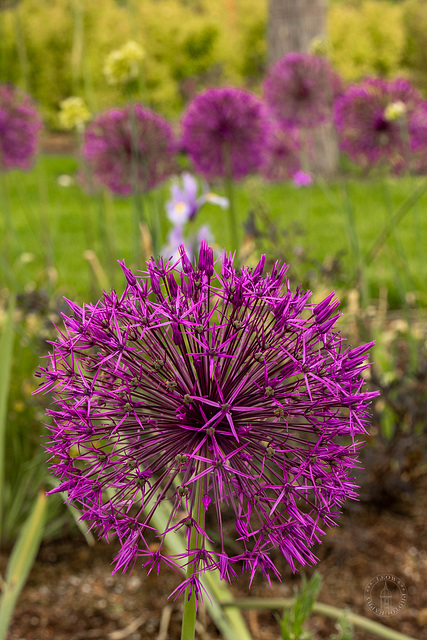 Bayerische Landesgartenschau Kirchheim 2024 ++ Impressions from the Garden Expo at Munich