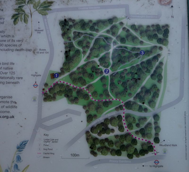 Queen's Wood plan