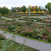 Rosarium Sangerhausen im Oktober