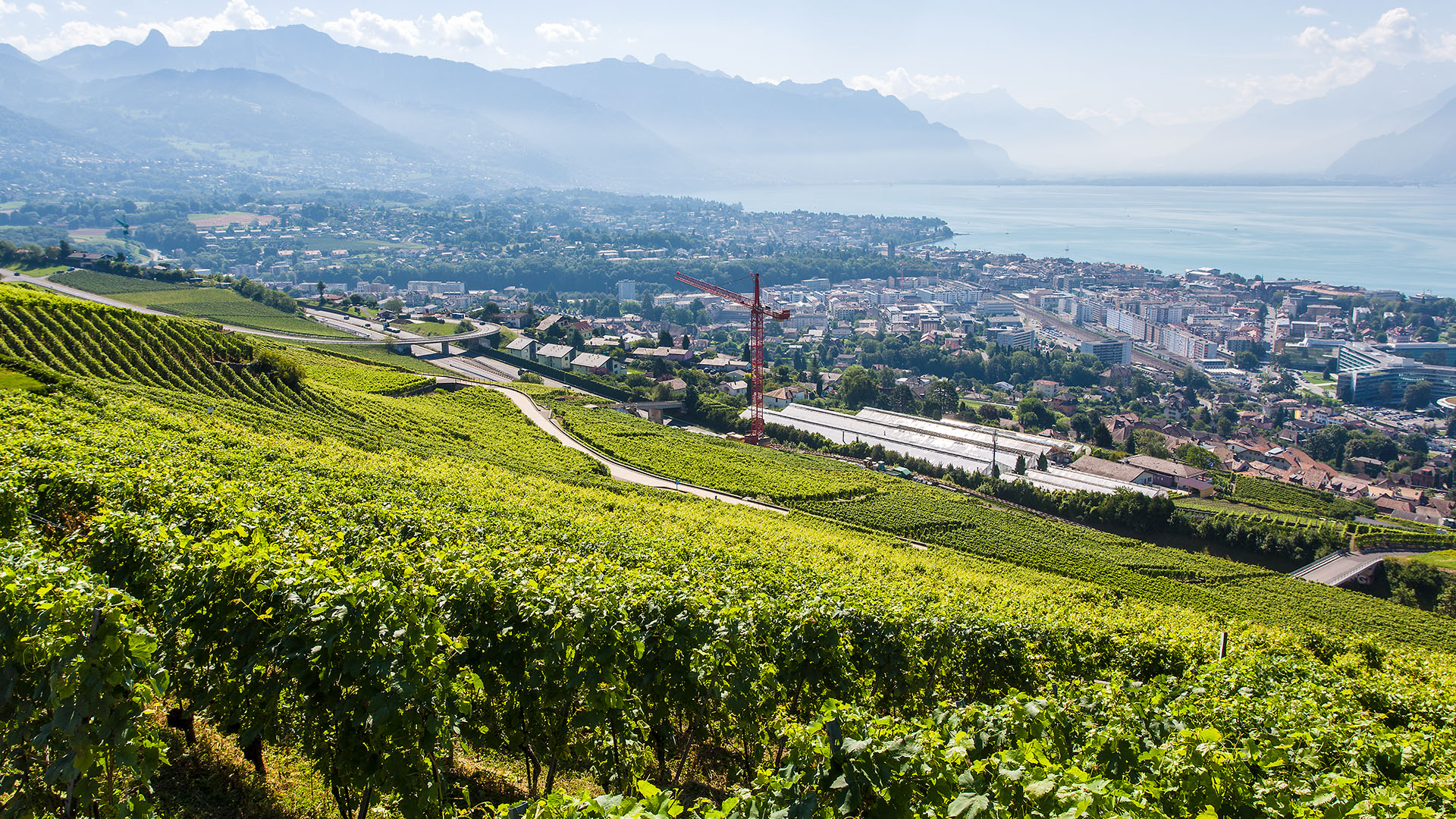 130816 panorama Chardonne C