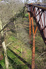 Treetop Walkway