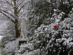 Neige à Angers