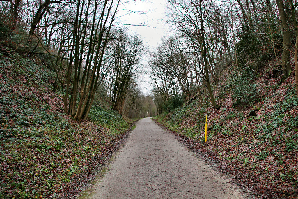 Radweg auf der ehem. Bahnstrecke Wuppertal-Wichlinghausen–Hattingen (Sprockhövel) / 24.12.2017