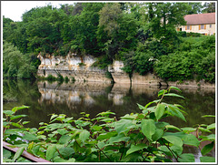 Reflets à Saint Léon sur Vézère (24)