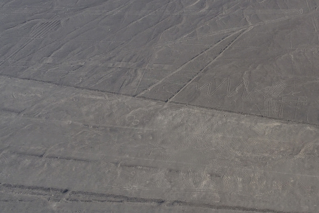 Flamingo And Parrot Geoglyphs