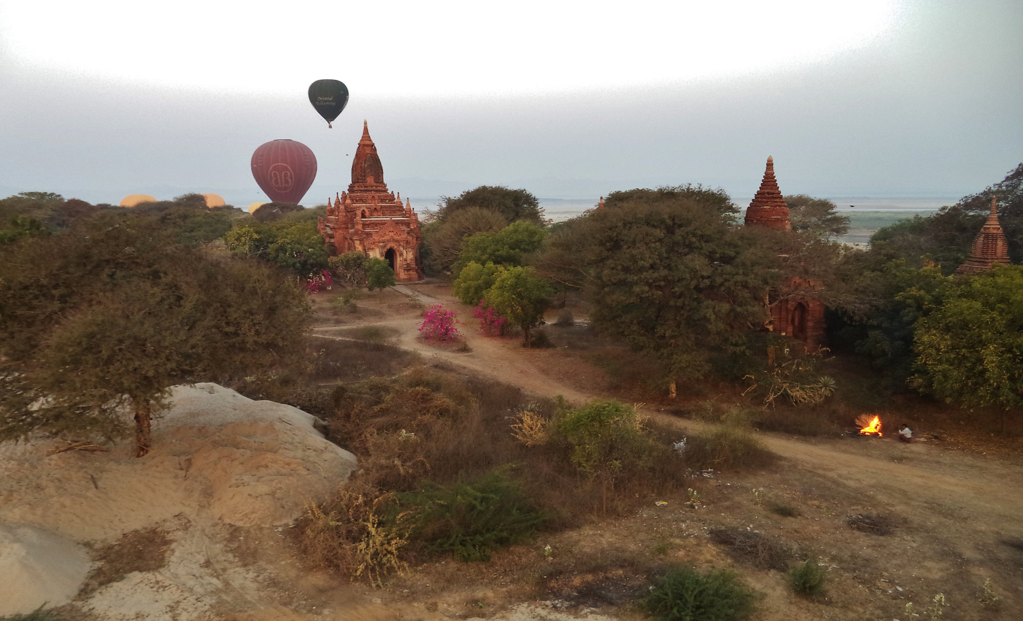 Balloons Over Bagan