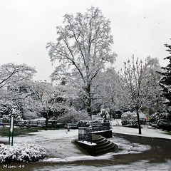 Neige à Angers