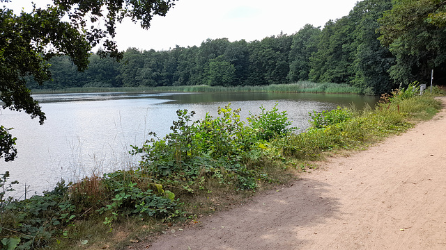 Dippelsdorf Teich 009