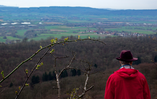 Ja wo kommt er denn, der Frühling ?