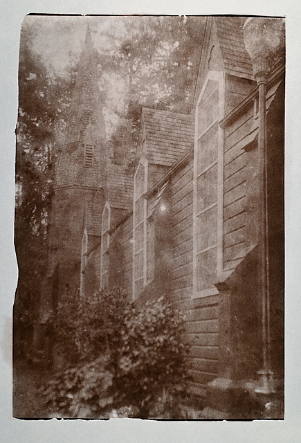 Church of one tree salt print