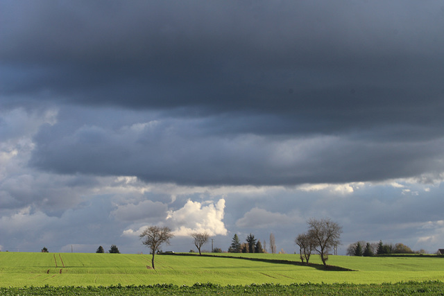 paysage du Berry