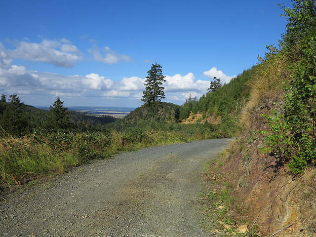 Blick nach NNO auf den Kapitelsberg