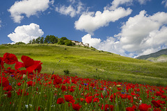 #47 - brunosma - Castelluccio - 2̊ 11points