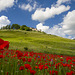 #47 - brunosma - Castelluccio - 2̊ 11points