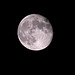 Lune (Nuit du 8 Avril 2020)