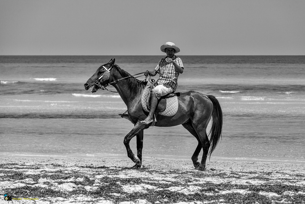 Le cavalier de la plage