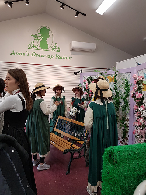 Die Bank bei  "Ann of Green Gables"