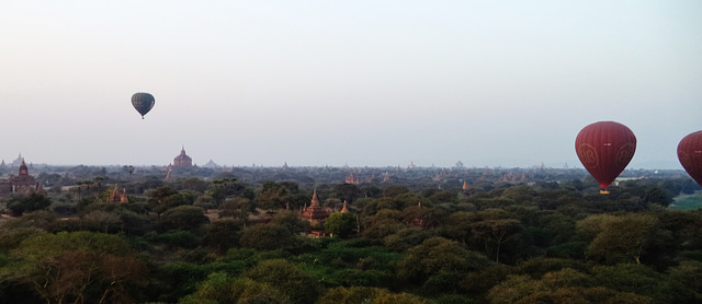 Balloons Over Bagan