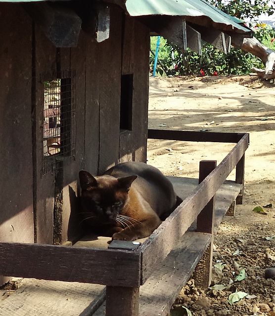 boat trip on Lake Inle