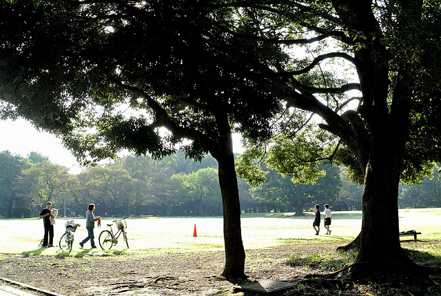 Park in the morning